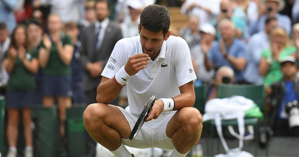 Novak_Djokovic_célébration_Wimbledon_2019