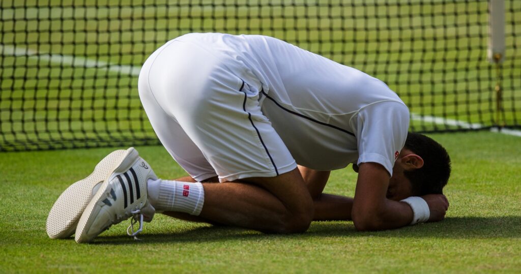Djokovic 2014 Wimbledon (Panoramic)